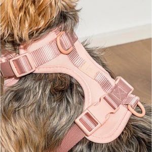Wild One Dog Harness - Blush Pink (Medium)
